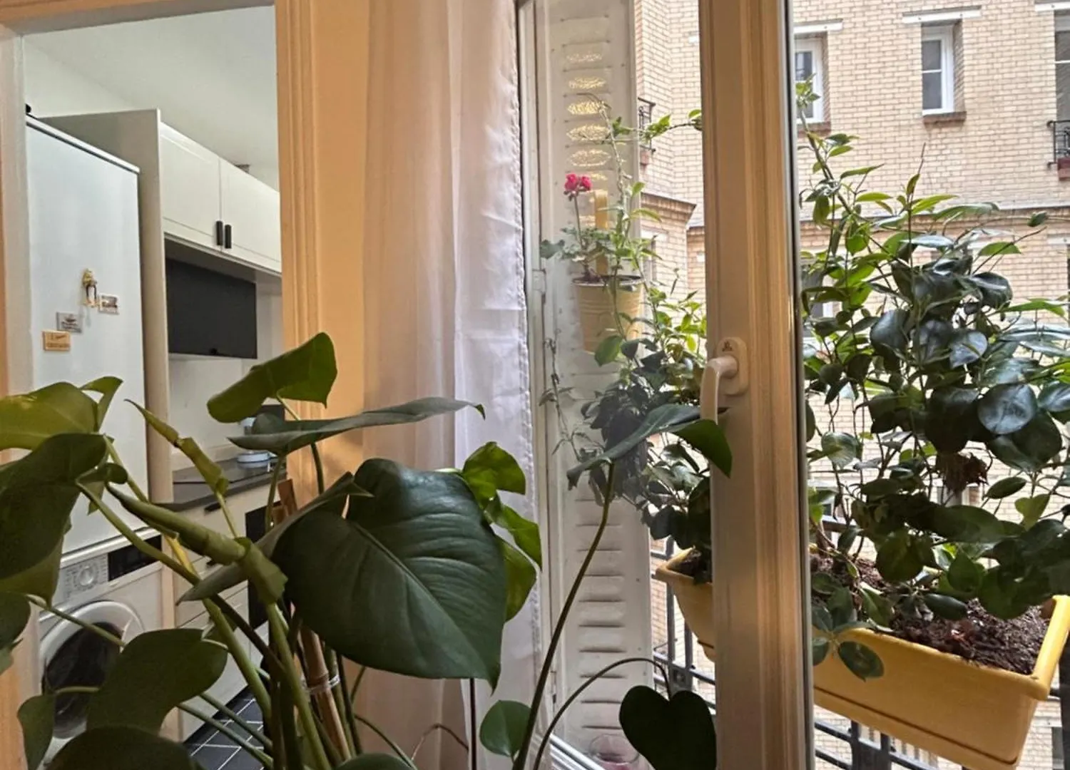 Havre De Paix A Paris Apartment